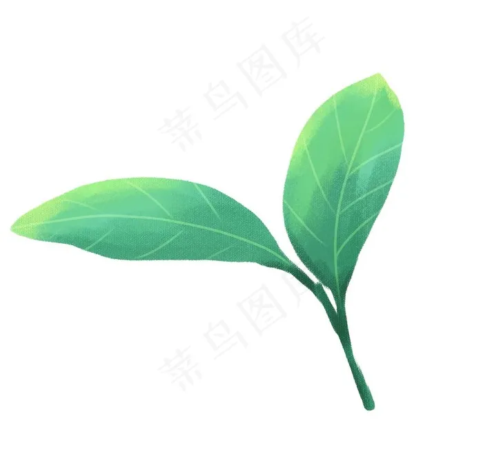 叶子图片psd模版下载