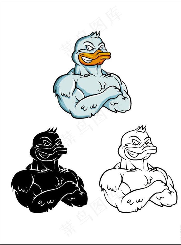 三款卡通强壮的鸭子插画矢量素材图片ai矢量模版下载
