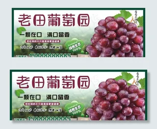 葡萄采摘园图片