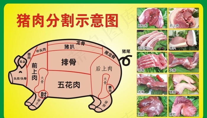 猪肉分割示意图图片cdr矢量模版下载