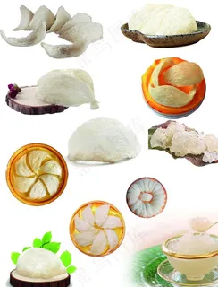 燕窝图片 燕窝图片