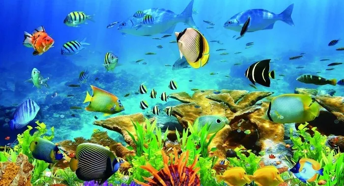 水族箱海洋世界3D背景图片