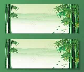竹子图片