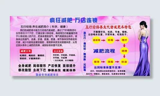 五行经络减肥简介图片