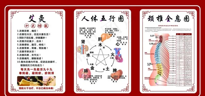 艾灸 人体五行图 脊椎全息图图片(6803X3402(DPI:72))psd模版下载