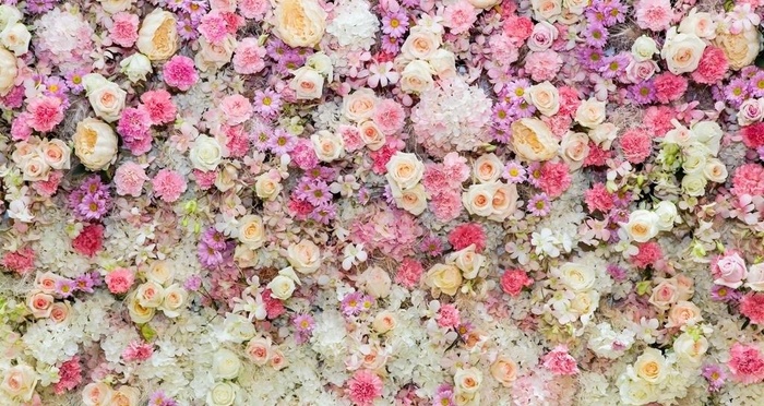 鲜花墙 浪漫花朵图片