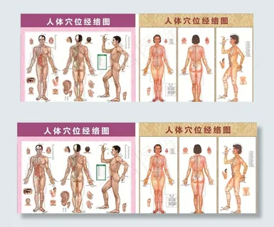 人体穴位经络图图片 人体穴位经络图图片