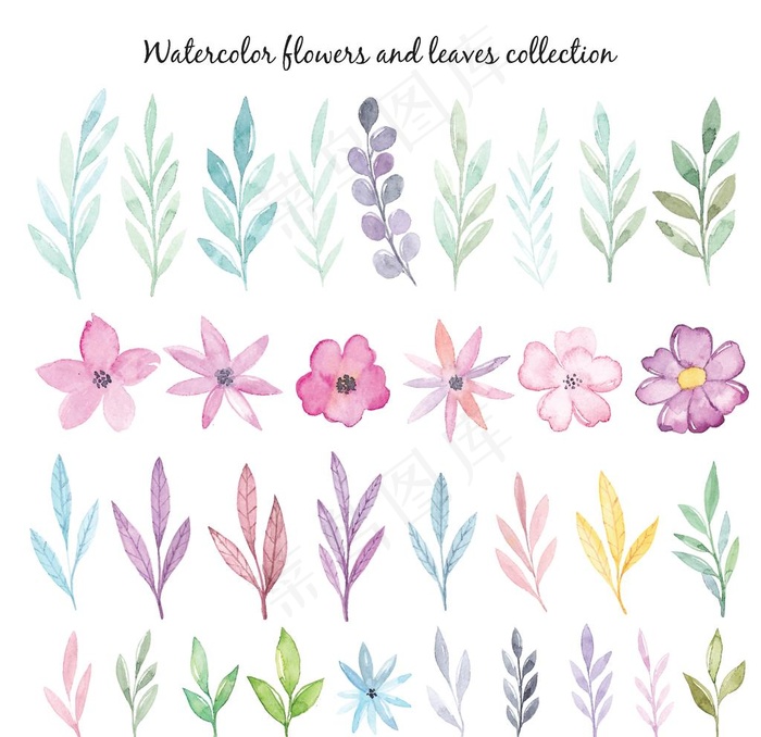 水彩叶子图片