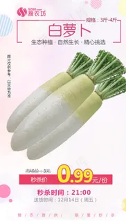 白萝卜秒杀图片 白萝卜秒杀图片