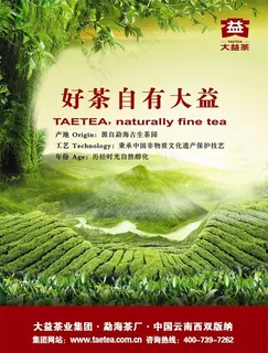 勐海古生茶园图片