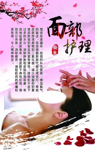 面部护理海报展板图片