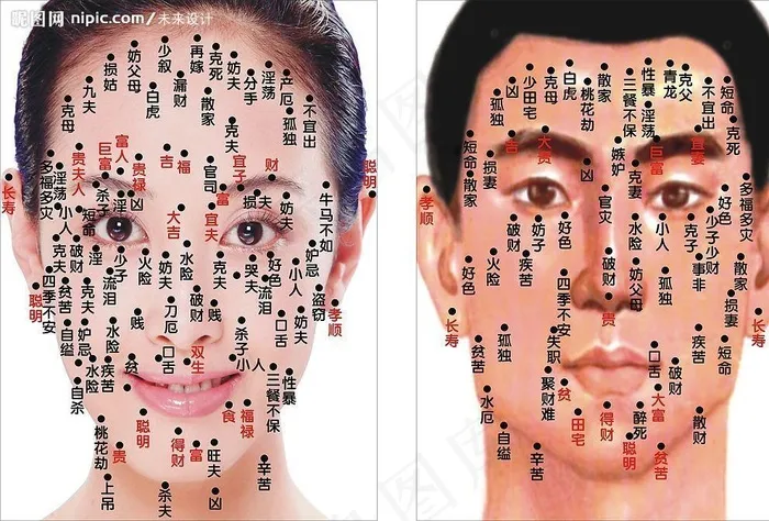 痣面相图图片cdr矢量模版下载