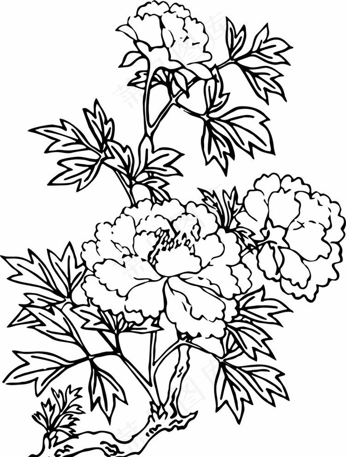 牡丹花矢量图图片