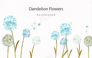 简约蒲公英图片