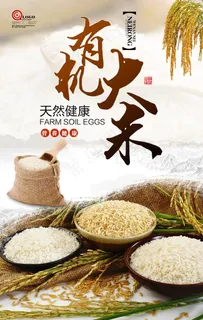 有机大米图片 有机大米图片