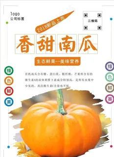 南瓜海报图片