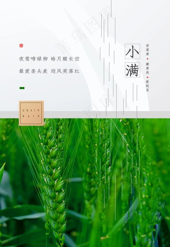小满图片(1839X2759(DPI:300))psd模版下载