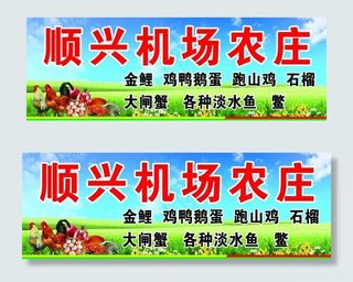 顺兴机场农庄图片