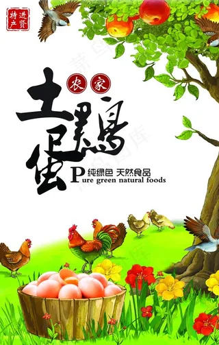 有机农家土鸡蛋海报图片