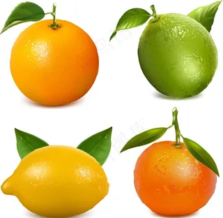 桔子图片