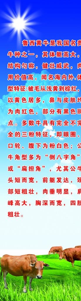 黄牛简介图片(1423X4734(DPI:72))psd模版下载