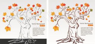 树 枫树 大树 手绘树 树矢量图片