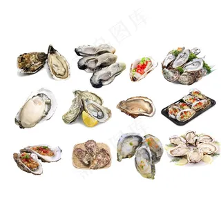 生蚝图片