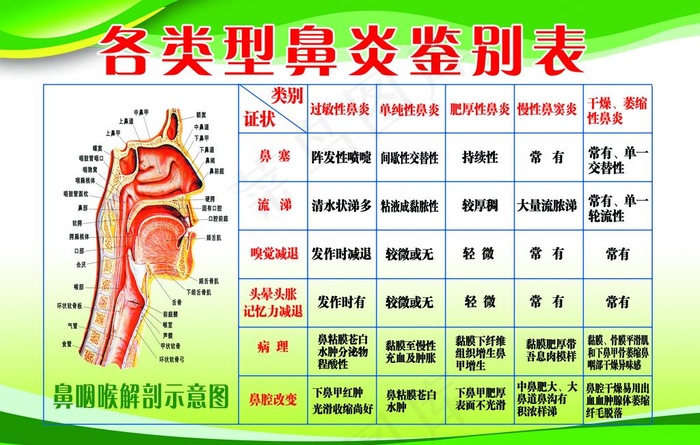 鼻炎鉴别表图片(3543X2362(DPI:100))psd模版下载