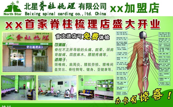 脊柱梳理图片(2894X1890(DPI:300))psd模版下载