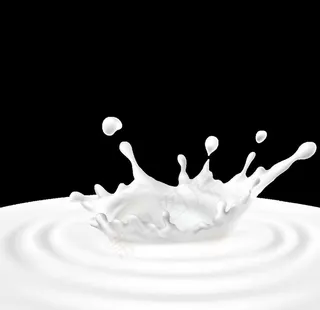 奶制品图片