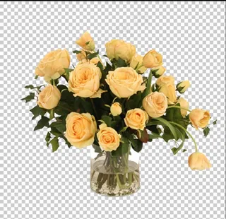 透明底花艺 绿植 摆件 桌花图片