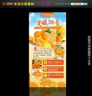 柑橘爱媛38号图片