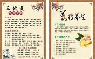 三伏灸 姜疗图片