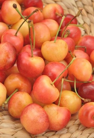 黄金车厘子 车厘子 樱桃 水果图片