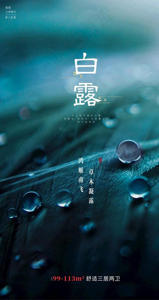白露图片ai矢量模版下载