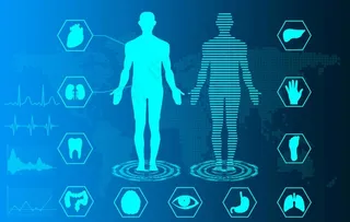 人体骨骼内脏血液图片