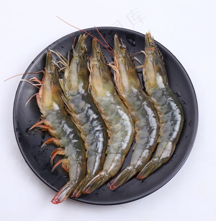 鲜活大虾图片