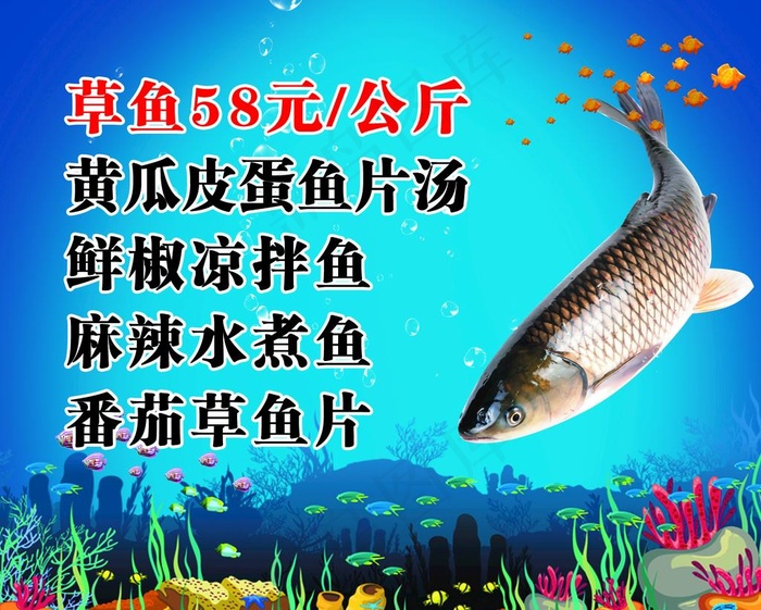草鱼图片psd模版下载