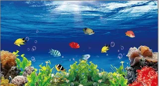 鱼缸背景图片