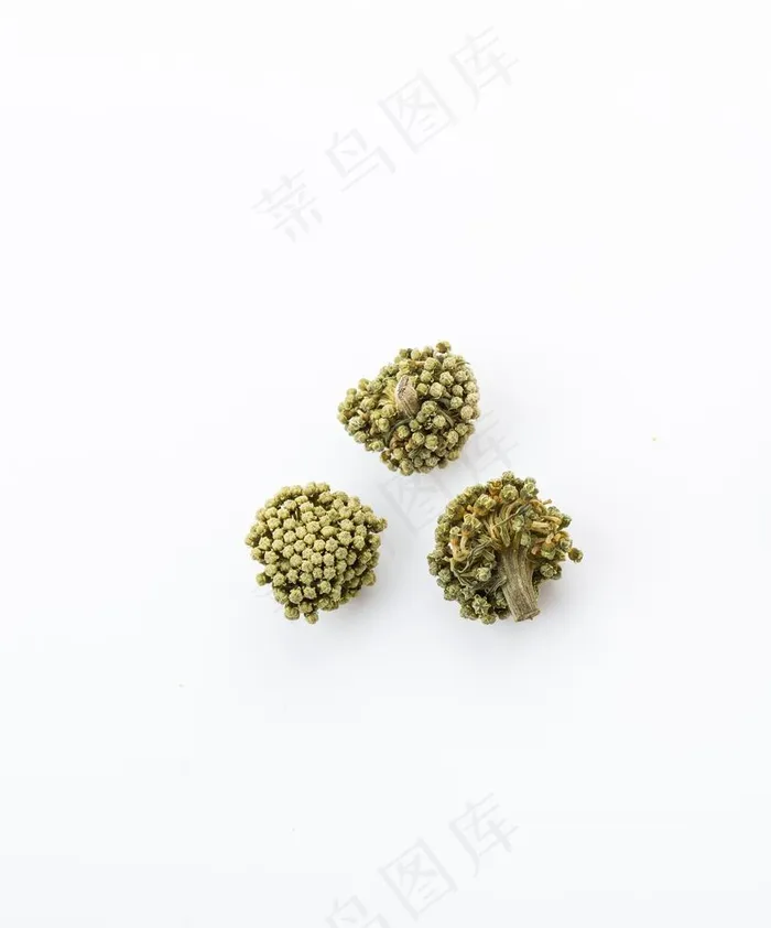 三七花图片