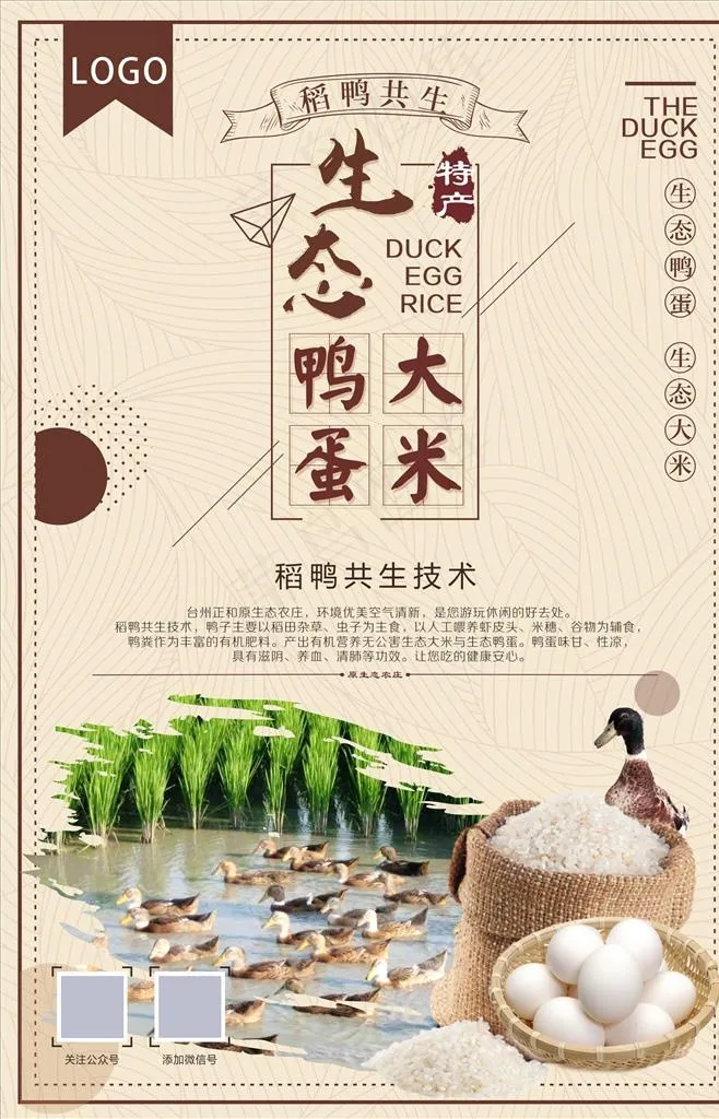 原生态稻田鸭图片cdr矢量模版下载