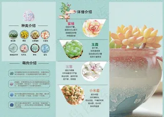 多肉三折页图片