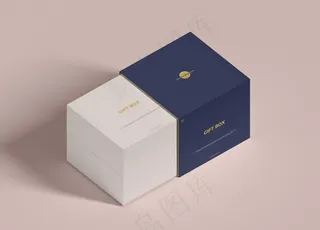 礼盒样机图片