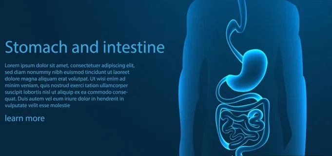 肠胃健康海报图片