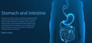 肠胃健康海报图片