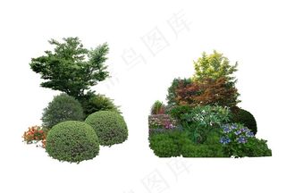 景观设计植物树木组团素材贴图图片