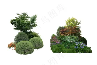 景观设计植物树木组团素材贴图图片