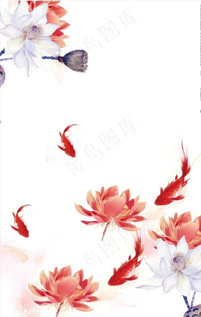 红鲤免抠分层文档图片(3543X5315(DPI:150))psd模版下载