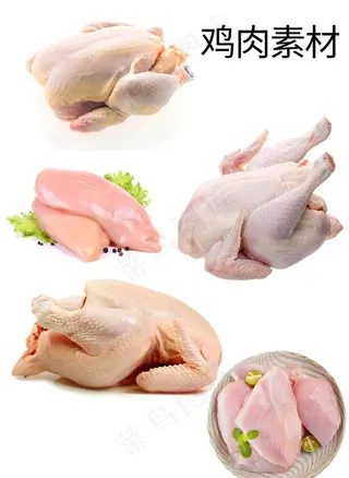 鸡肉图片