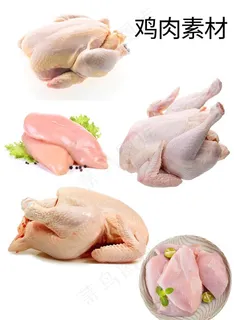 鸡肉图片 鸡肉图片